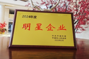 新春新景新氣象 | 景興紙業(yè)在平湖三干大會上喜摘榮譽！